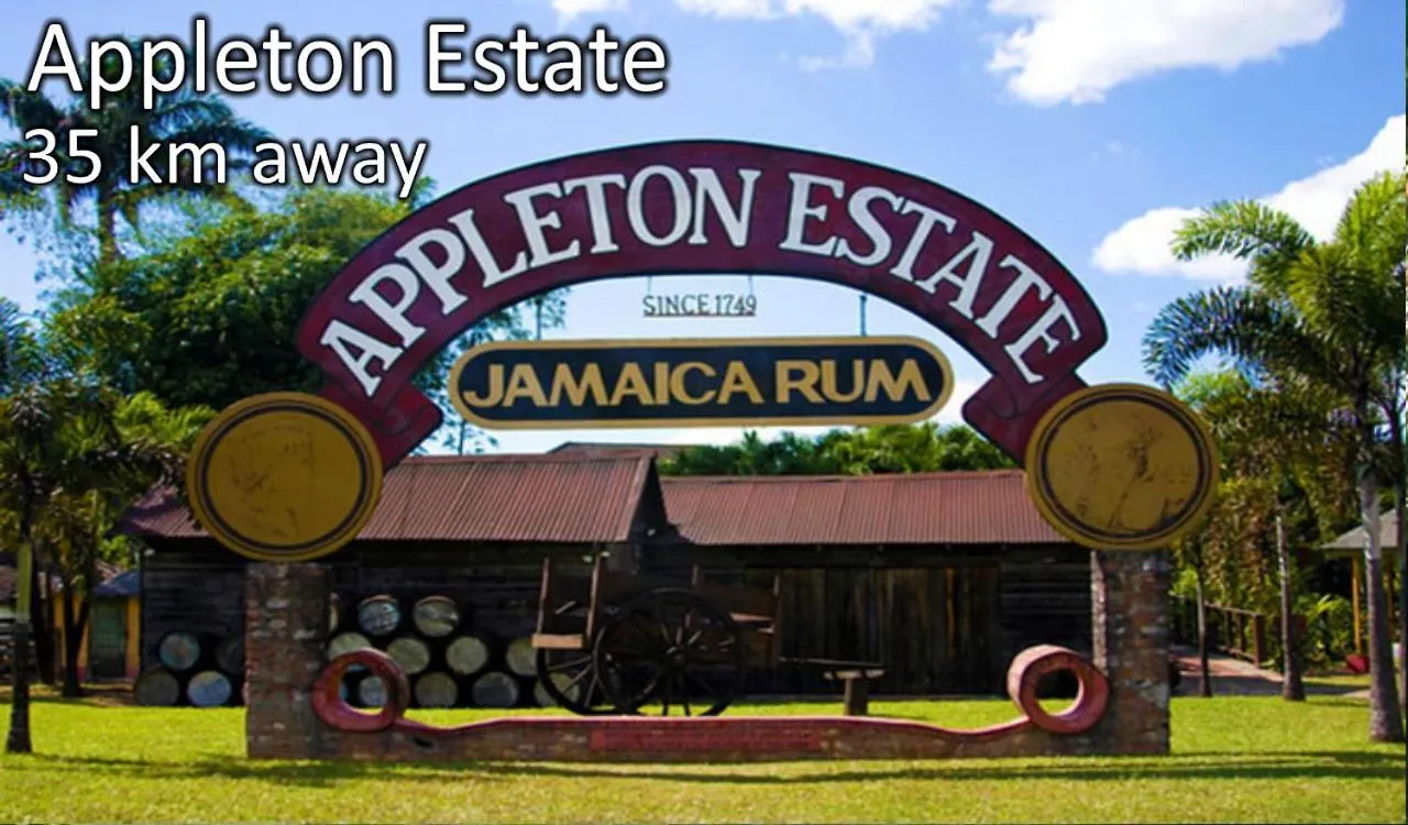 Nyaraló Loodik Vacation Home Brompton Manor Black River Jamaica